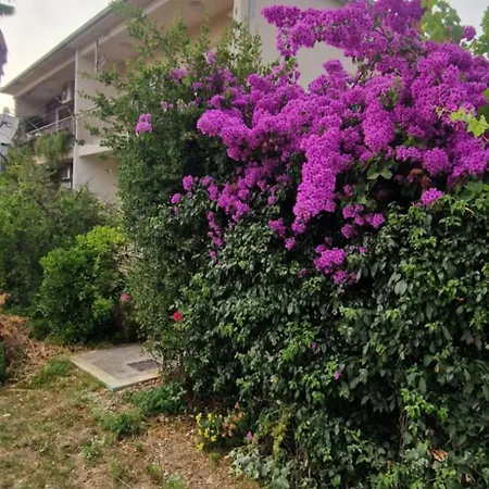 דירה Croatia Trogir, 4 Rooms, Pool 4km טרוגיר