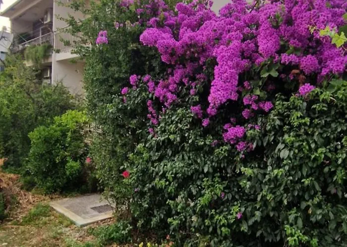 アパート Croatia Trogir, 4 Rooms, Pool 4km トロギール